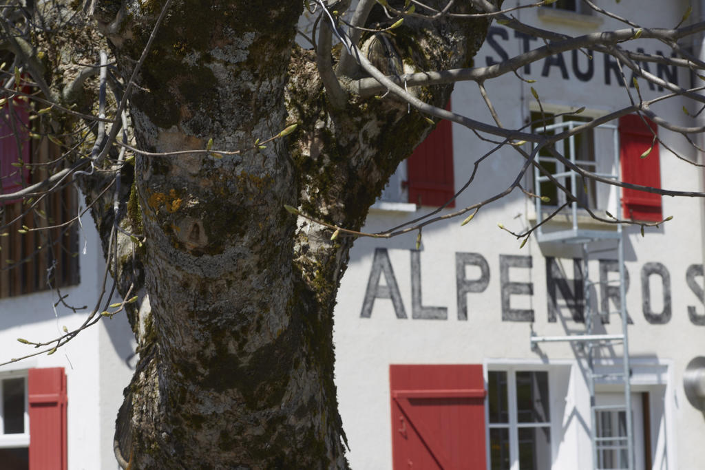 Alpenrose Gadmen - Gasthaus Eksteriør billede